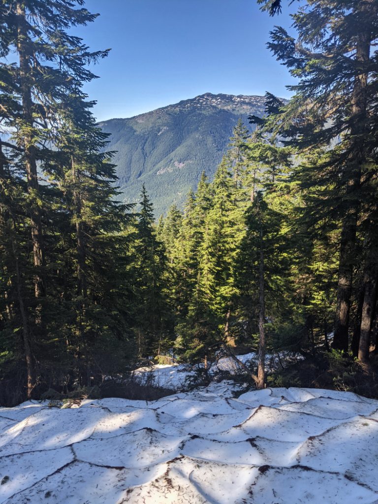 More and more snow