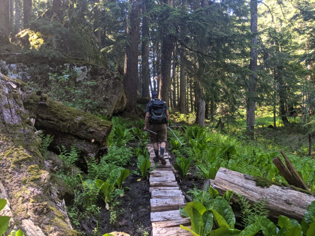 Muddy section with a rugged boardwalk