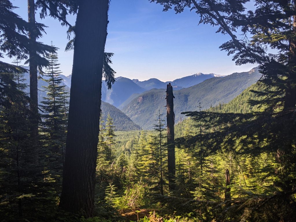Occasional views through the trees