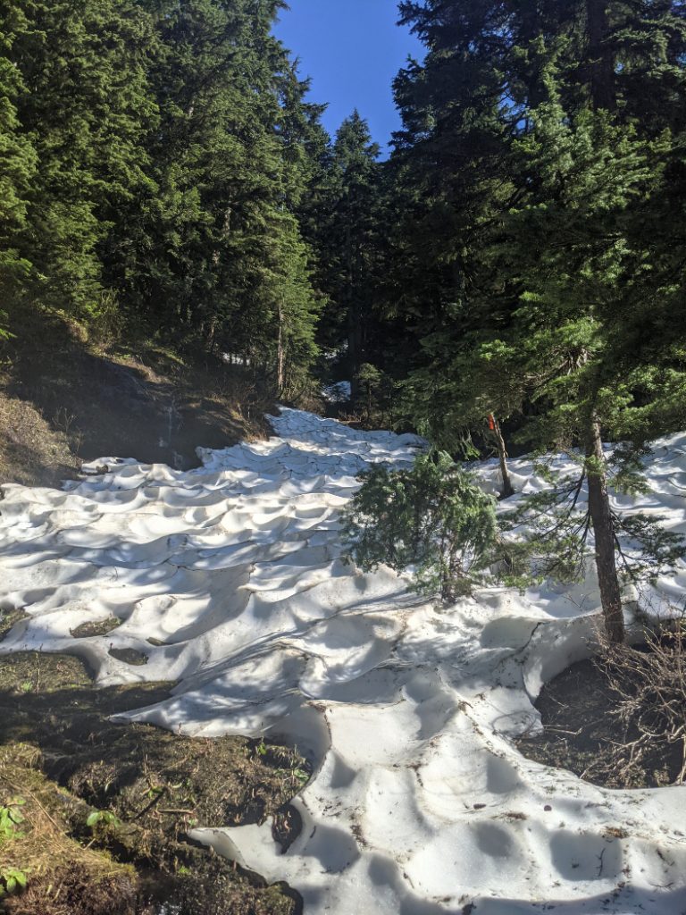 Reaching the snow