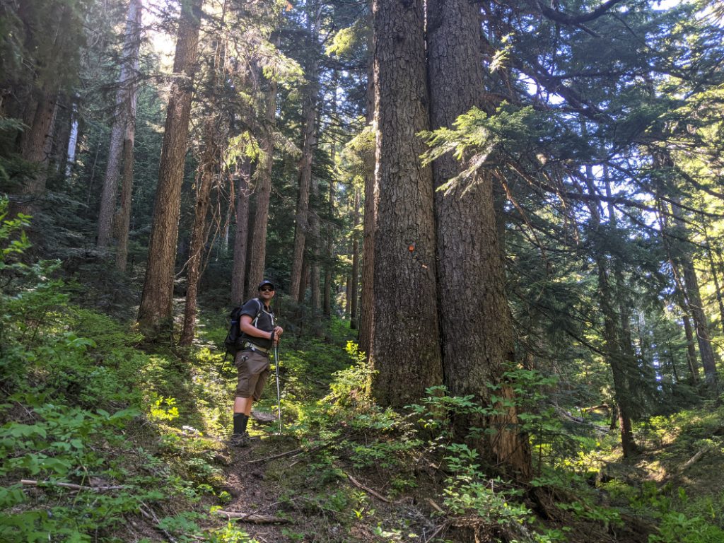 The path gets steep straight away
