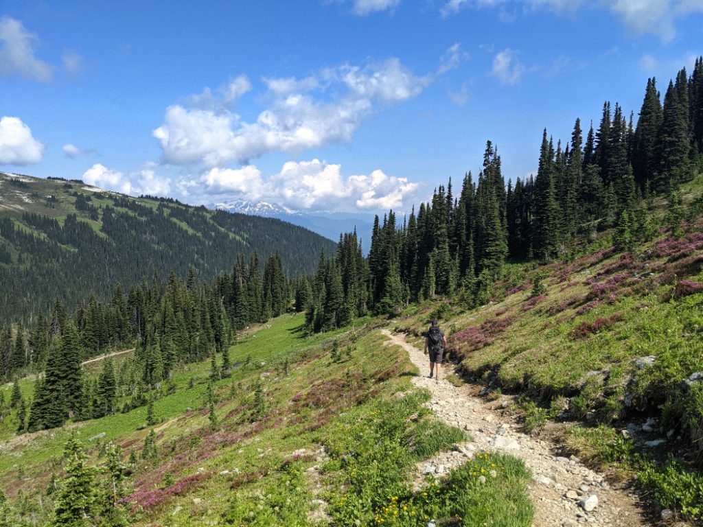 Gorgeous trail down to Singing Pass