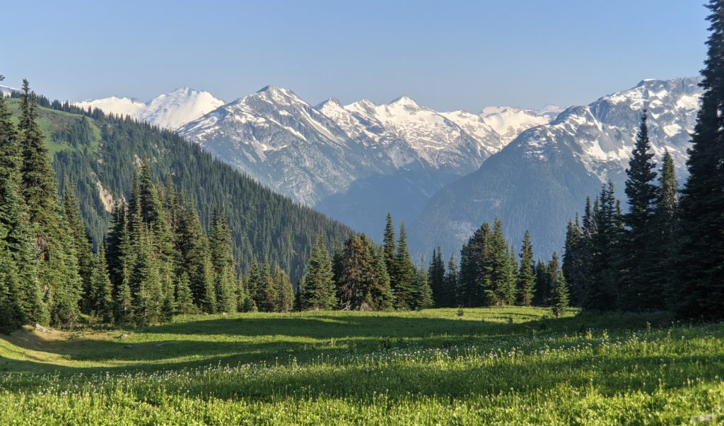 Gorgeous meadow views from below Oboe Summit