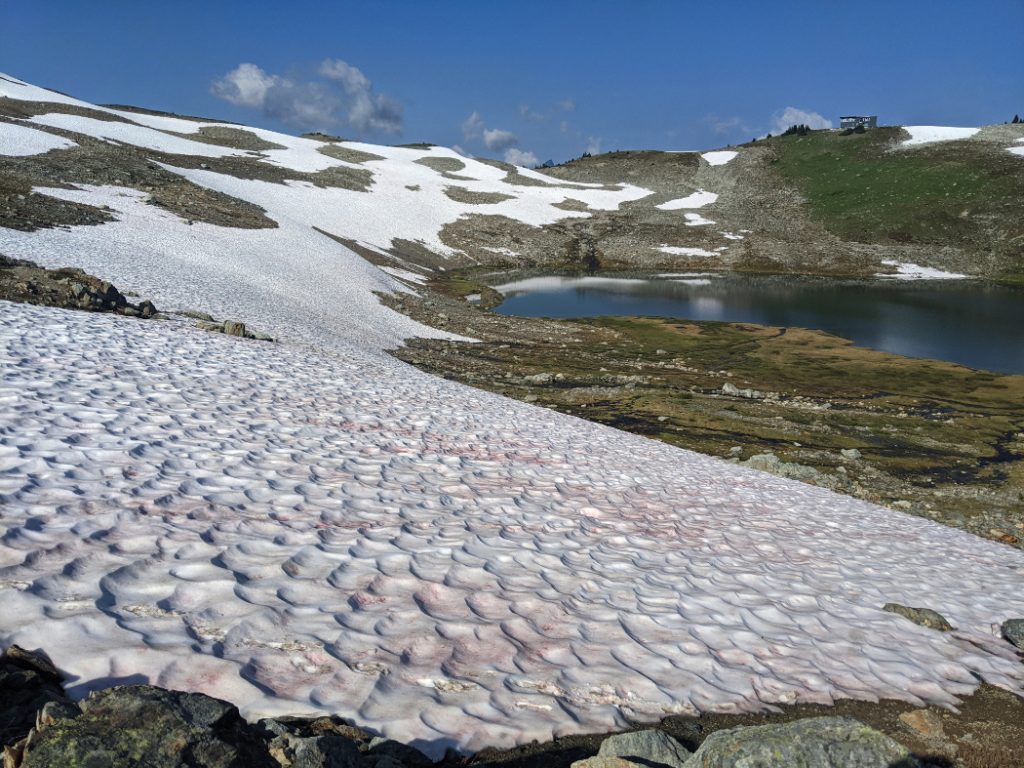 Snow above Russet Lake plus Kees and Claire Hut