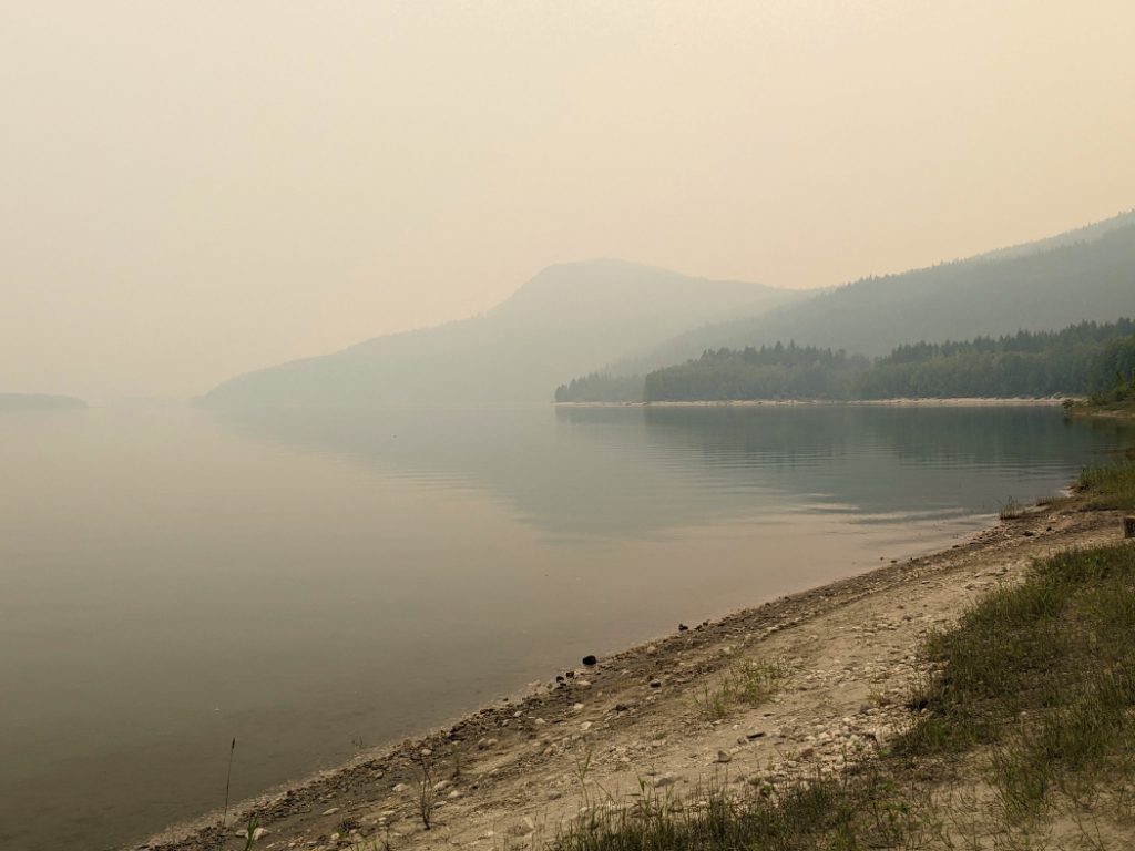 Columbia River from Blanket Creek Provincial Park