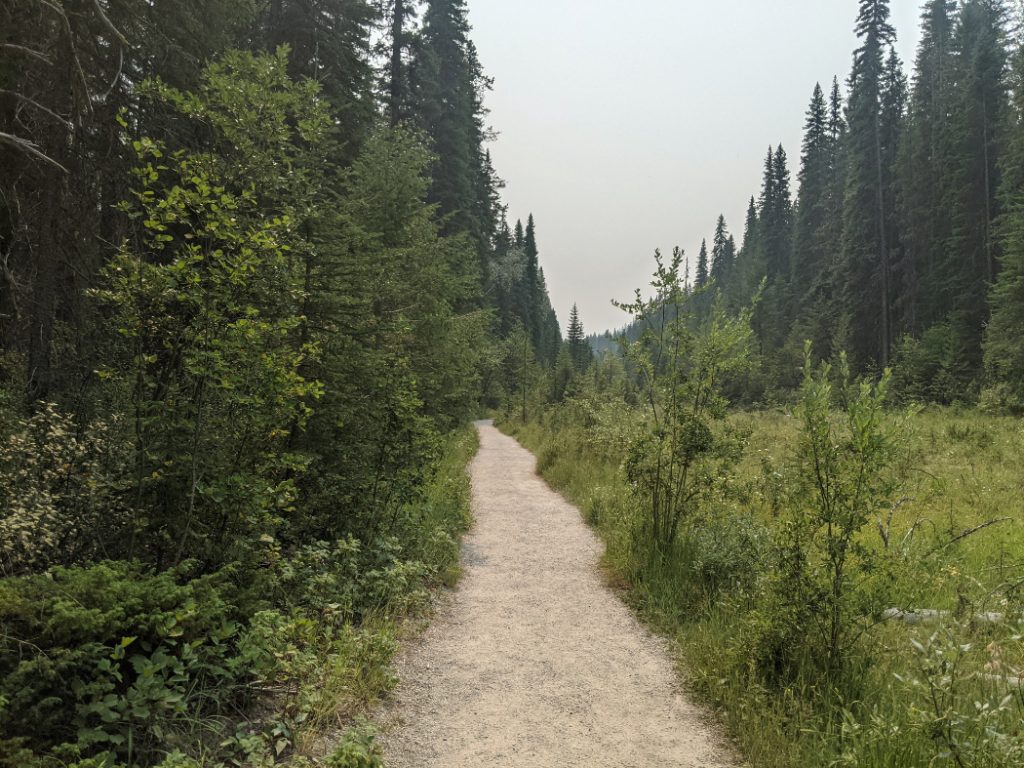 Easy, flat trail to Wapta Falls