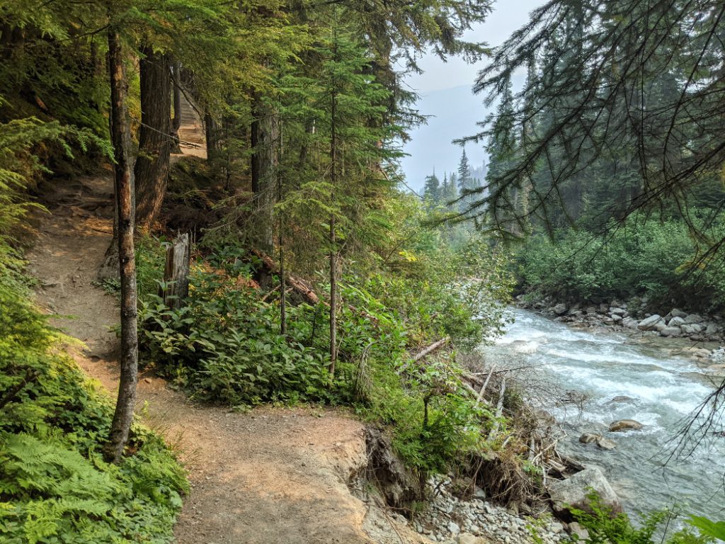 Path down next to Connaught Creek