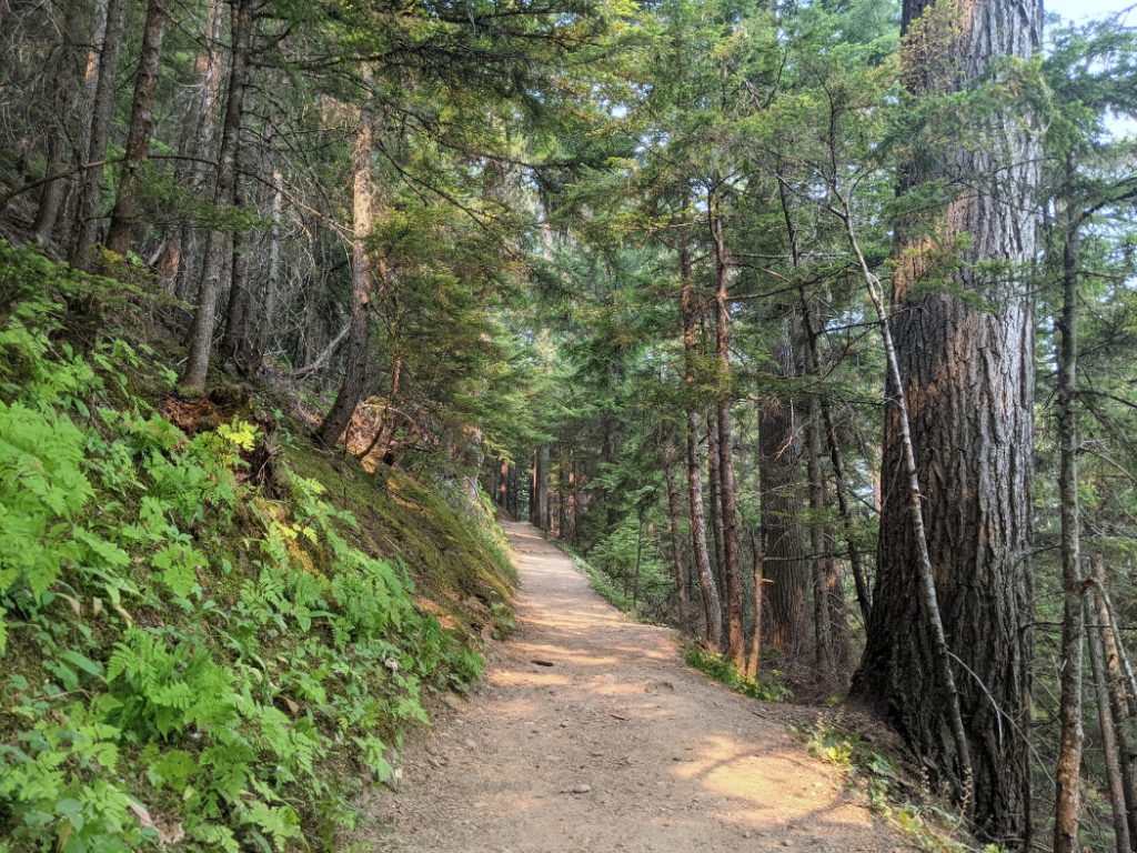 Path down to Bear Creek Falls
