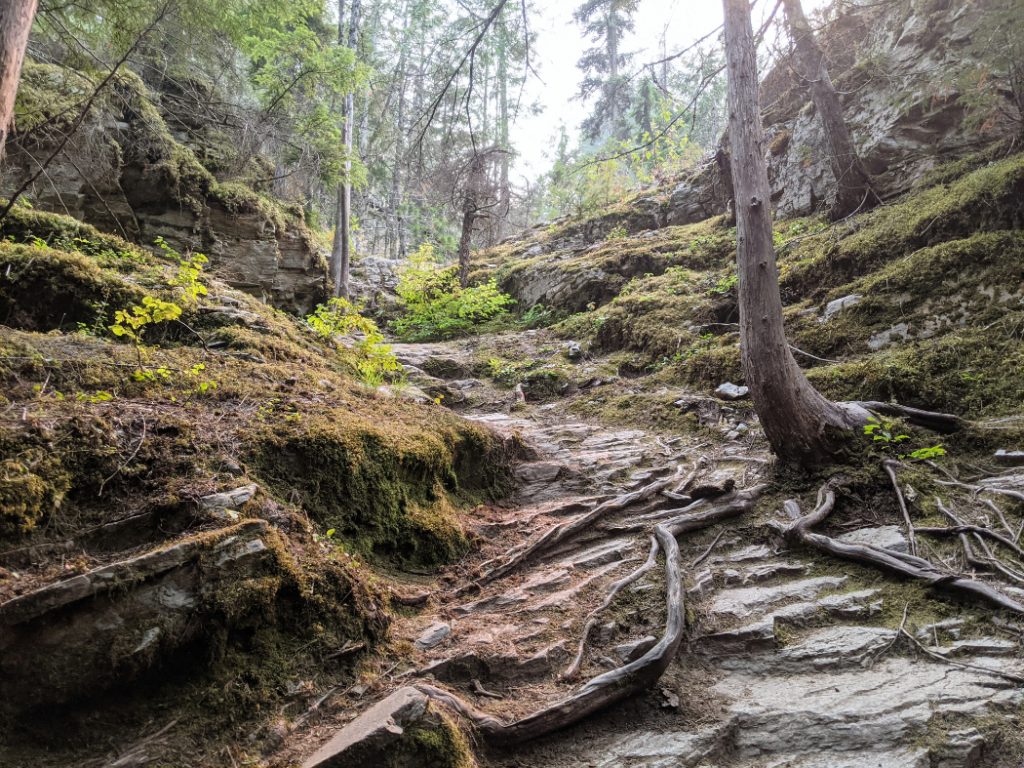 Rocky path behind Sutherland Falls