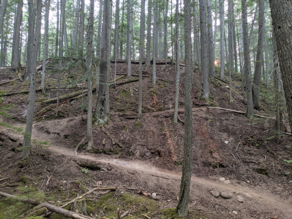 Switchbacks down to Begbie Falls