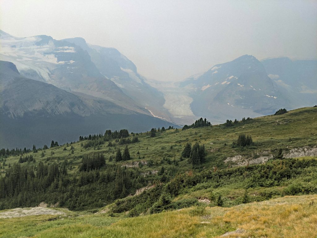 Athabasca Glacier above the meadows