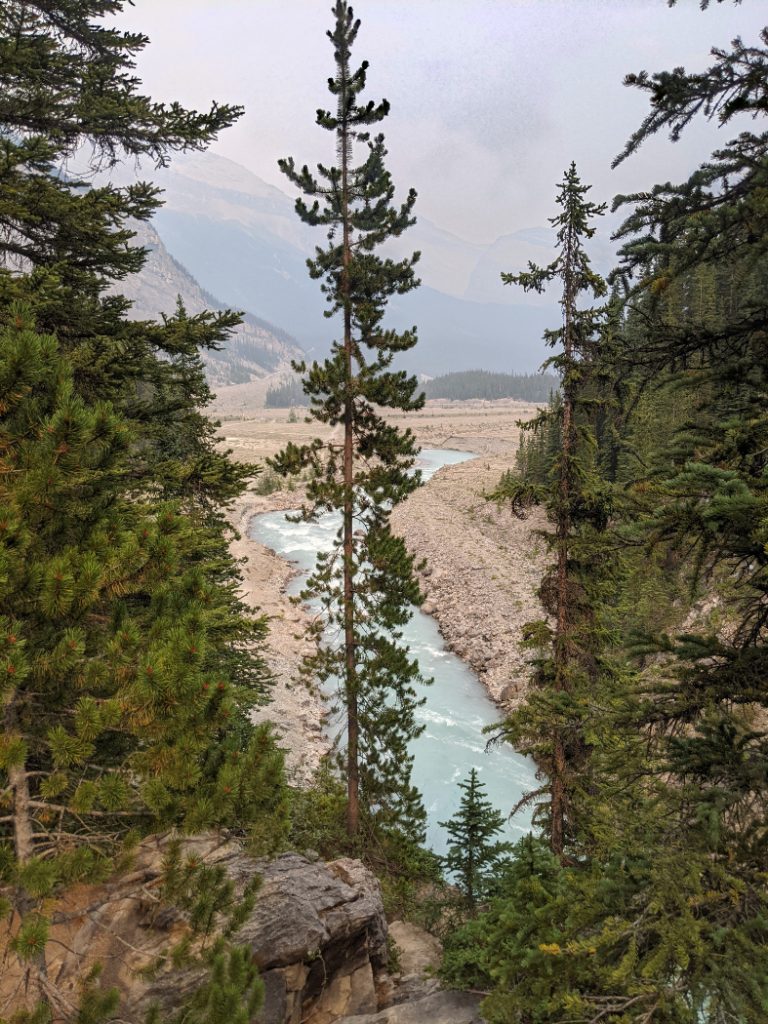 Views down from the cliffs