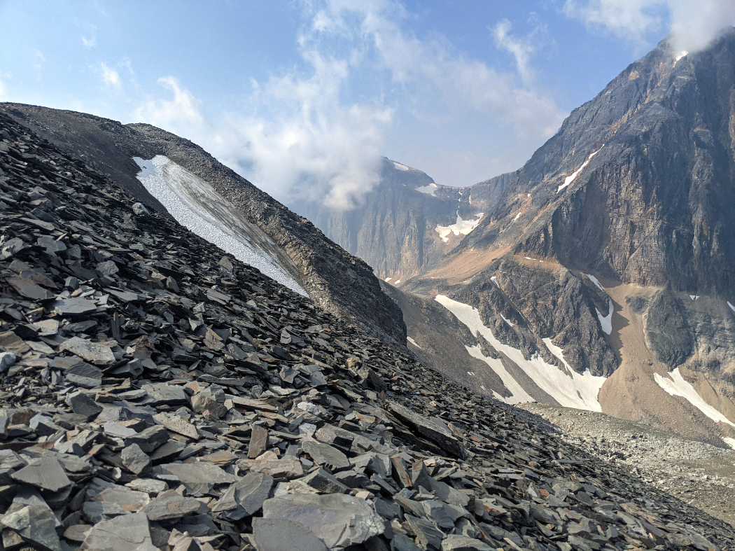 East Ridge Summit (via Cavell Meadows) - Jasper - A walk and a lark