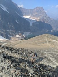 East Ridge Summit (via Cavell Meadows) - Jasper - A walk and a lark