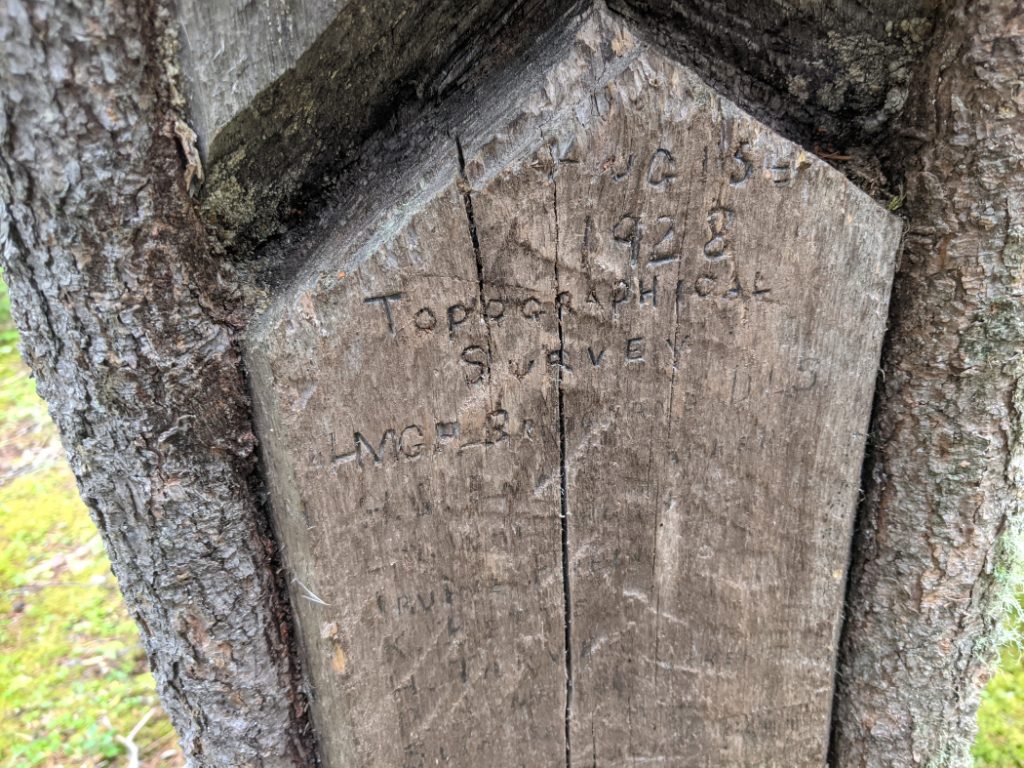 Close up Topographical Survey on the tree