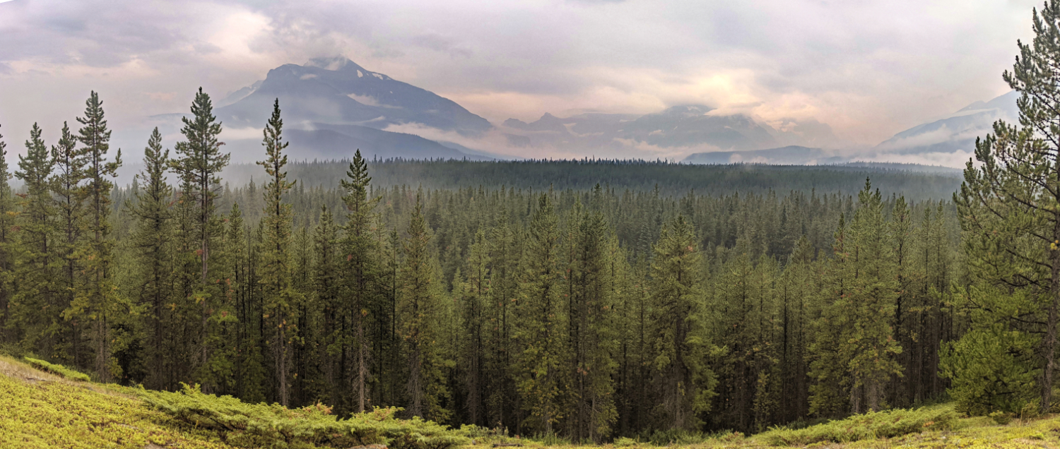 Panorama on the way to Glacier Lake