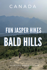 Fun Japser Hikes - Bald Hills near Maligne Lake, Canada