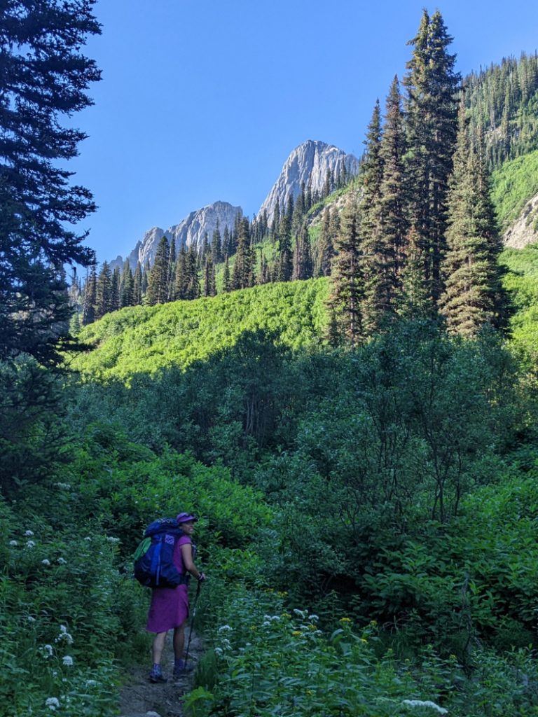 First views of the meadows above Numa creek