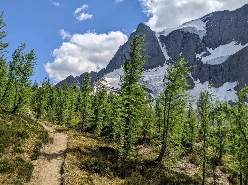 Almost up to Tumbling Pass