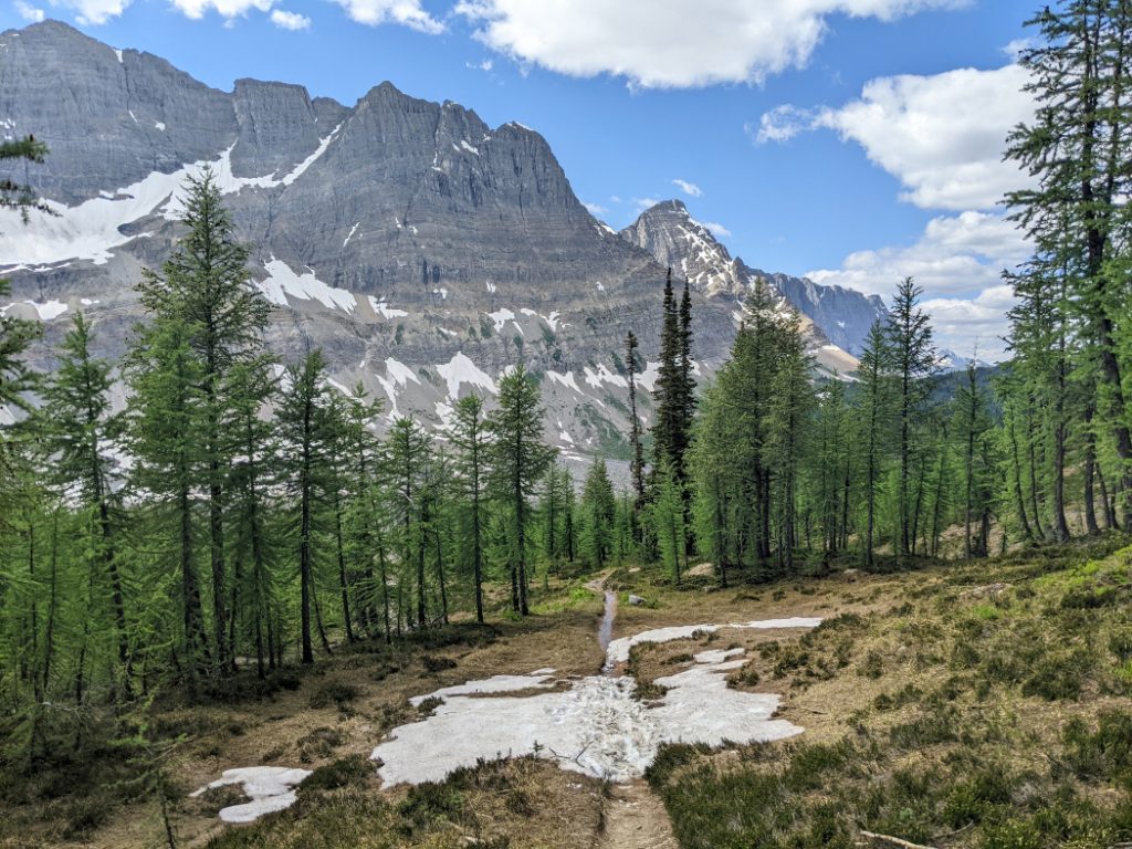 Mount Gray with Mount Drysdale and the Rockwall peeking out