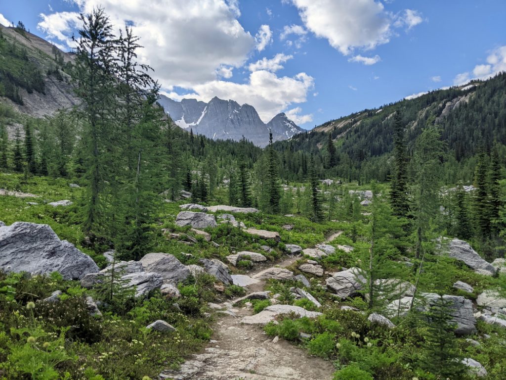 Looking back to the Rockwall and Tumbling Pass