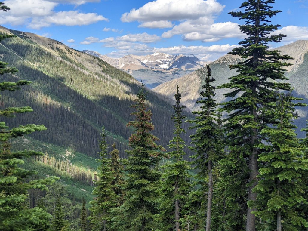 Views down- Numa Creek is in the valley below