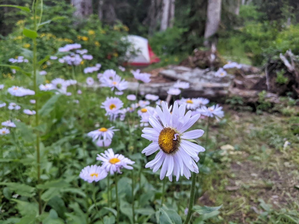 Numa Creek Campground