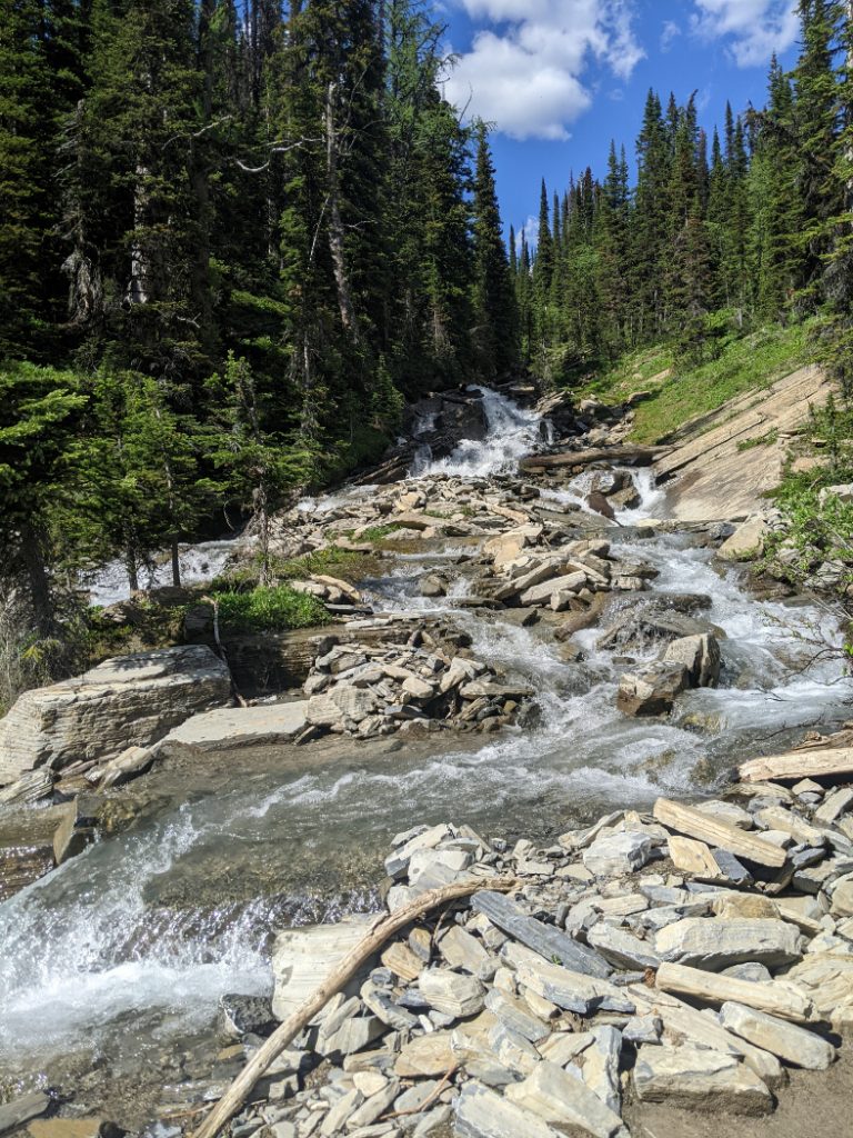 River for water at the edge of Floe Lake
