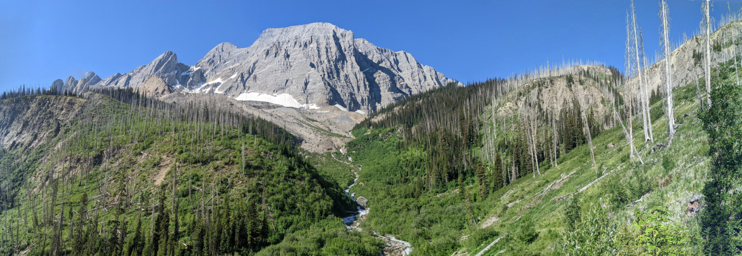 Floe Peak looking beautiful from the Floe Lake trail