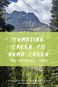 Tumbling Creek to Numa Creek along the Rockwall Trail