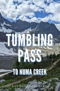 Tumbling Pass on the Rockwall trail to Numa Creek
