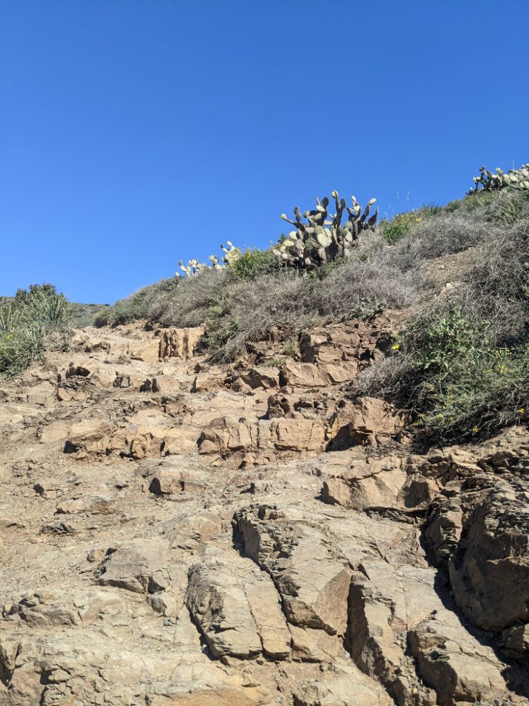 Steep trail up