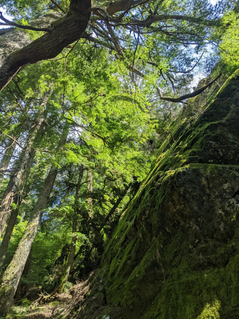 Super steep Leading Peak
