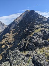 Mount Lineham - Waterton Lakes - A walk and a lark