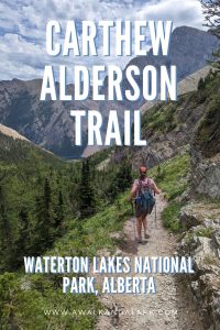 Best hike in Waterton Lakes - Carthew Anderson trail