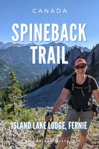 Hikes near Fernie, BC - Spineback Trail
