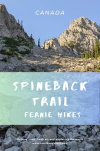 Spineback Trail, Fernie Hikes near Island Lake Lodge